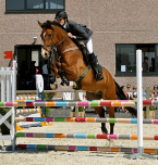 Equilive