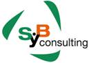 Logo SyB Consulting